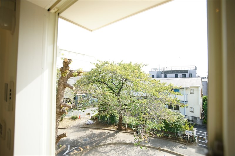 カーザレックス 眺望良好でしょ？　公園の清々しい雰囲気