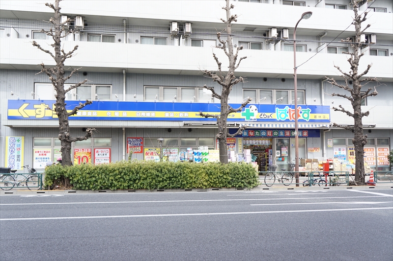 ポルタ上馬 どらっぐぱぱす 若林店