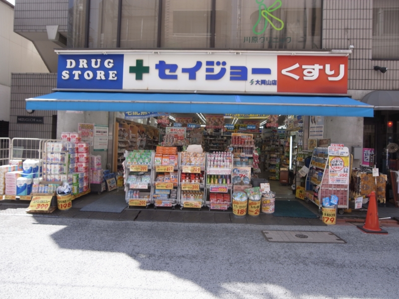 アピチェ洗足 くすりｾｲｼﾞｮｰ大岡山店