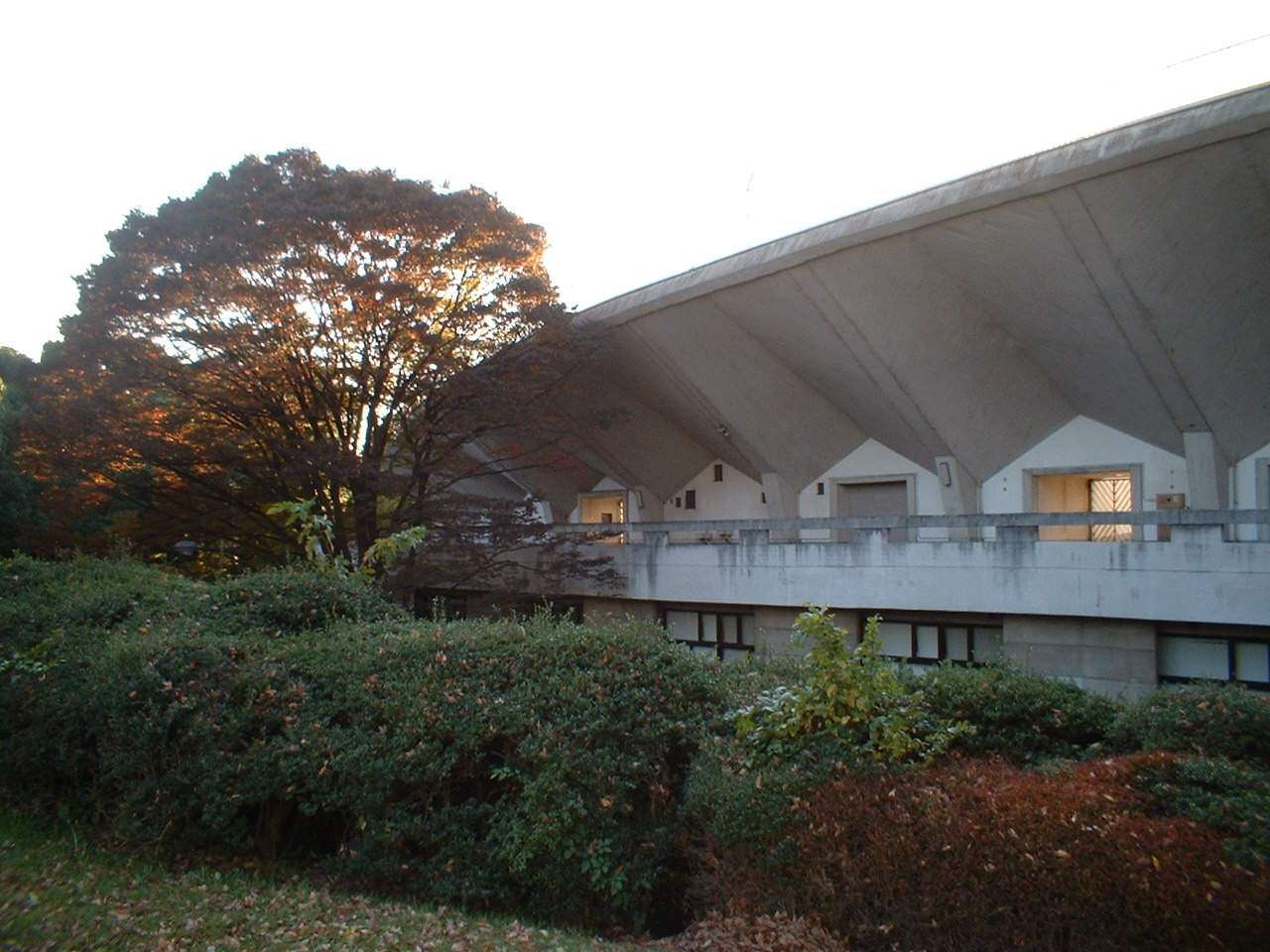 テラス駒沢 都立駒沢公園西口