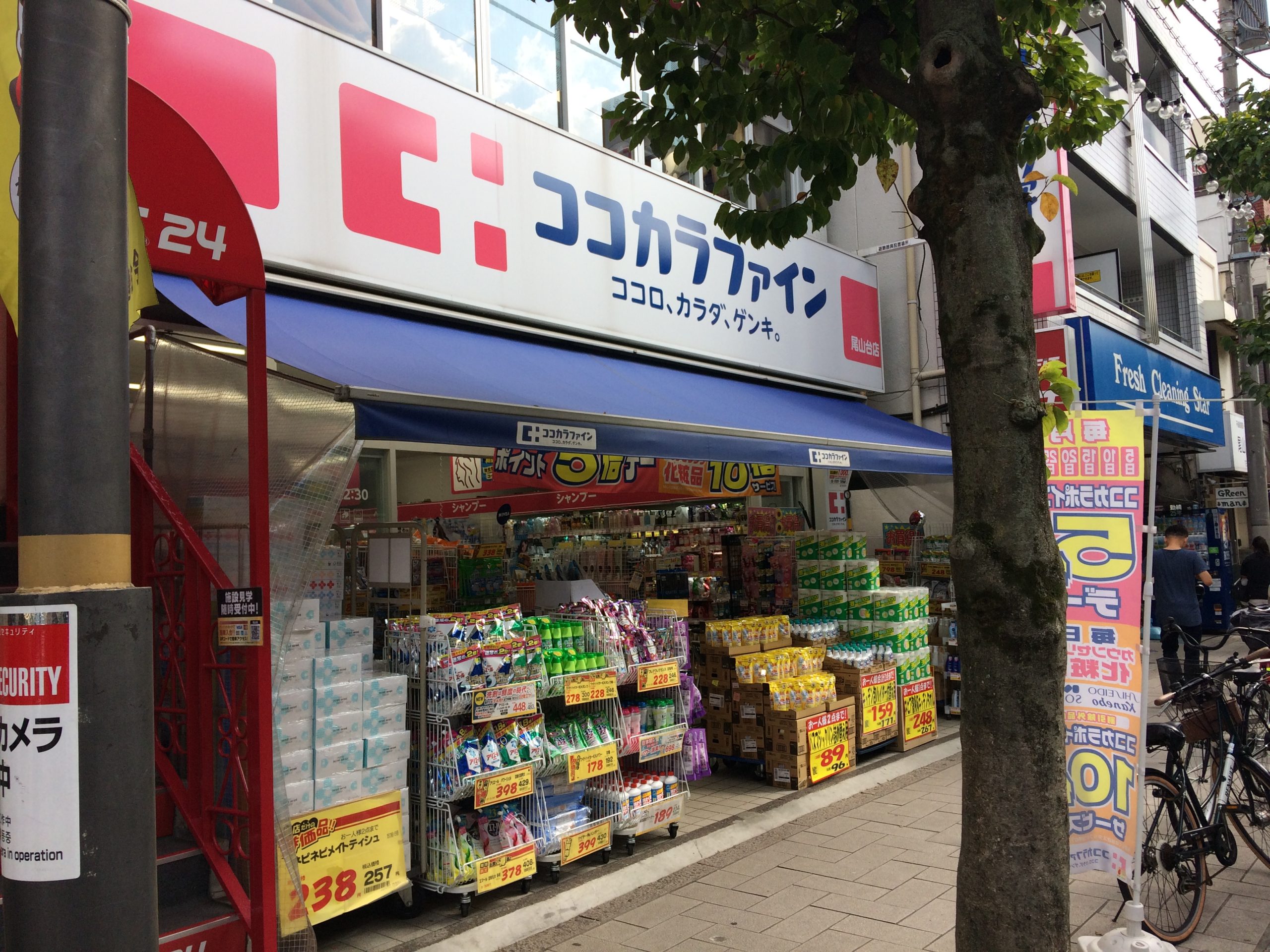イーヴズ ｺｺｶﾗﾌｧｲﾝ 尾山台店