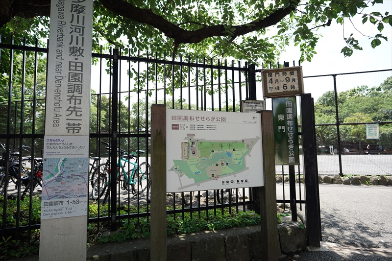 ハル 田園調布せせらぎ公園