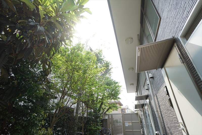 ハウゼ経堂 春には桜が咲くんですよ