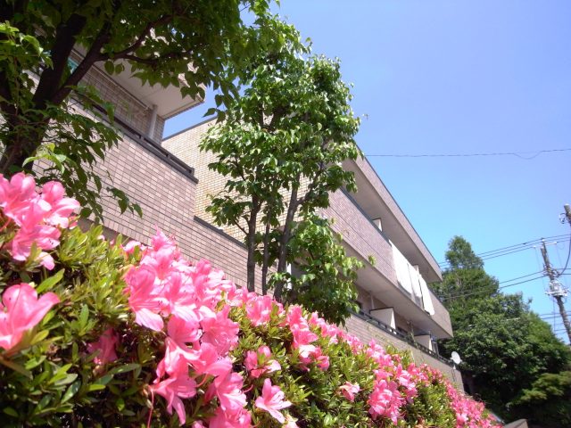 駒沢大学駅22分!駒沢公園近くの1LDK!!