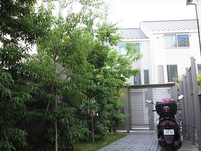 ネットサービス付き!バイク置き場付き!楽しい未来付き!